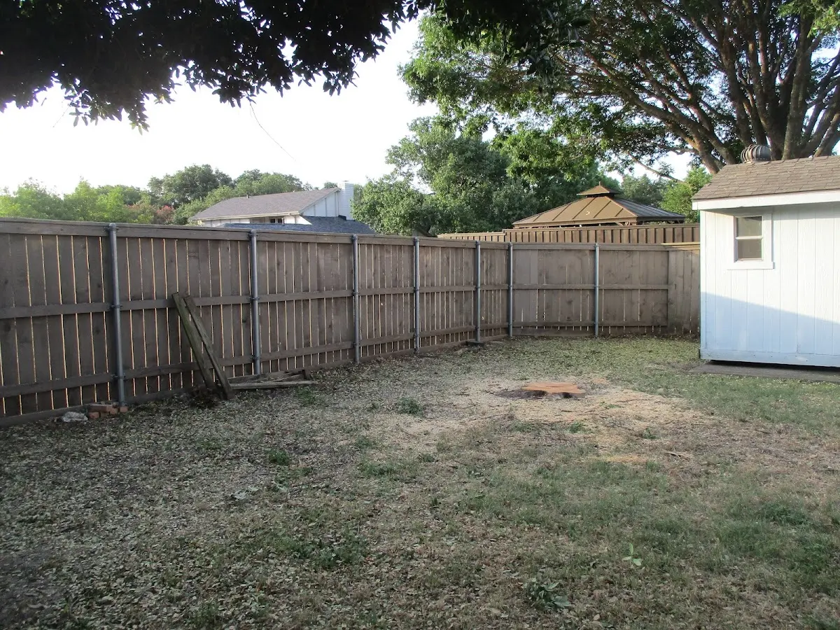 Cleared yard after professional tree removal in Albany